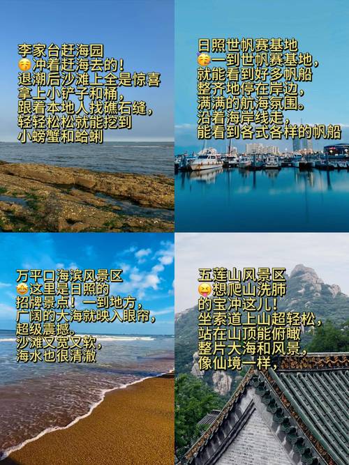 日照到日照旅游景点大全-第2张图片-星月文旅