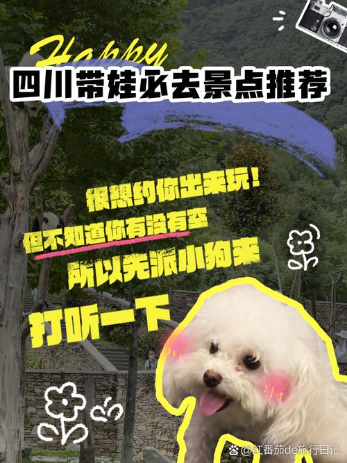 四川带孩子三日自驾游路线怎么安排？-第2张图片-星月文旅