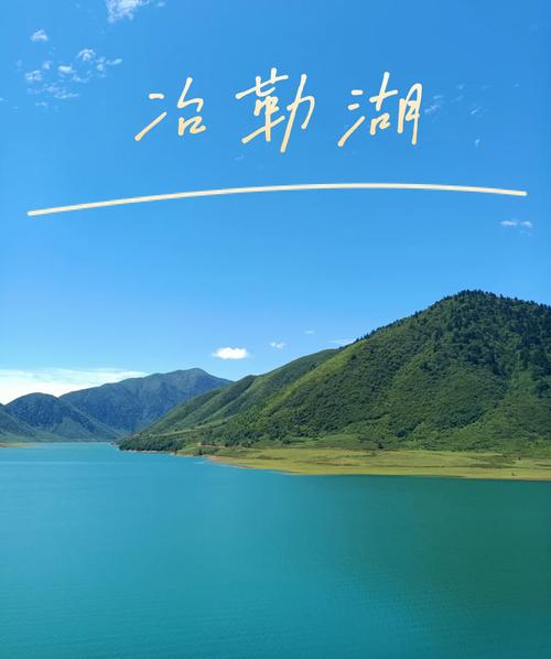 冶勒自然保护区自驾游-第2张图片-星月文旅