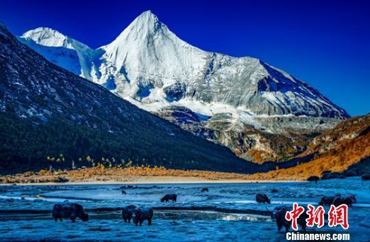 四川甘孜州哪些景点免费开放？-第1张图片-星月文旅