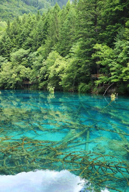 九寨沟有哪些必游景点？-第1张图片-星月文旅