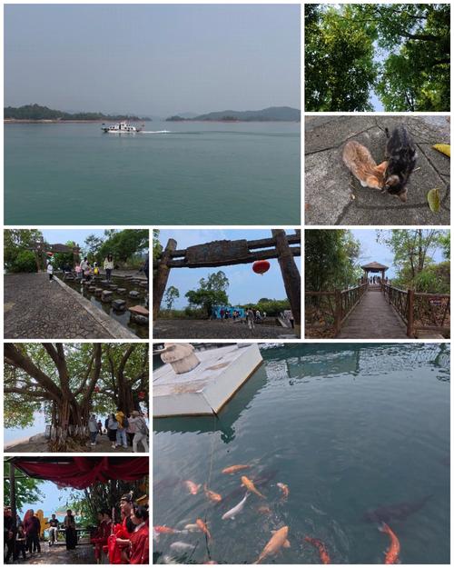 万绿湖 农家乐自驾游-第2张图片-星月文旅