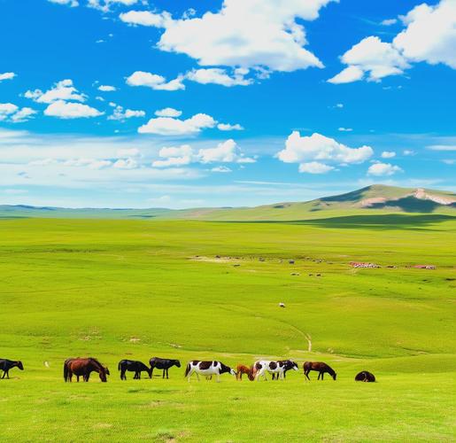 内蒙古草原自驾游需做哪些准备？-第2张图片-星月文旅