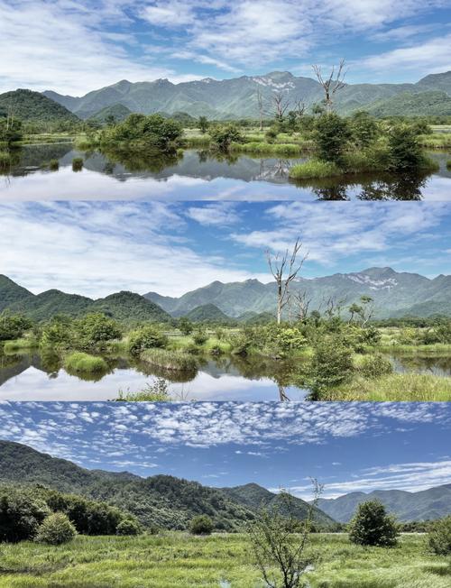 神农架大九湖自驾游怎么玩最尽兴？-第1张图片-星月文旅