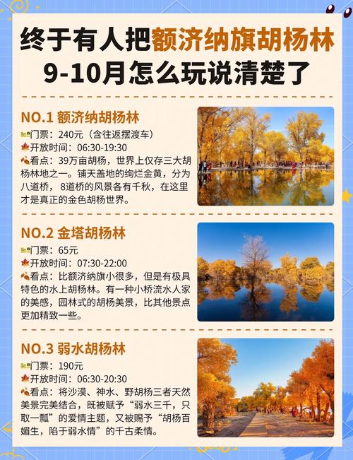 西安到额济纳旗怎么玩？攻略有哪些要点？-第3张图片-星月文旅