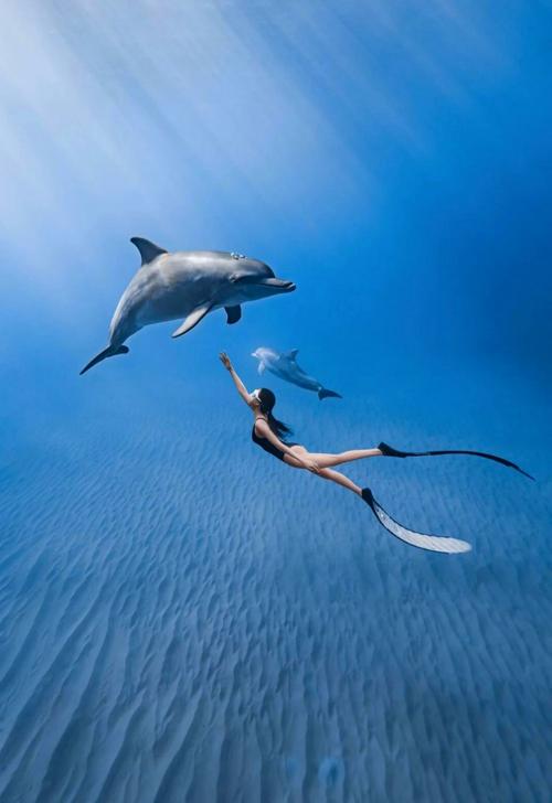 毛里求斯自由行怎么玩？攻略看这里！-第1张图片-星月文旅