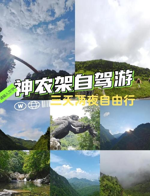 神农架两日自驾游怎么安排最省心？-第3张图片-星月文旅