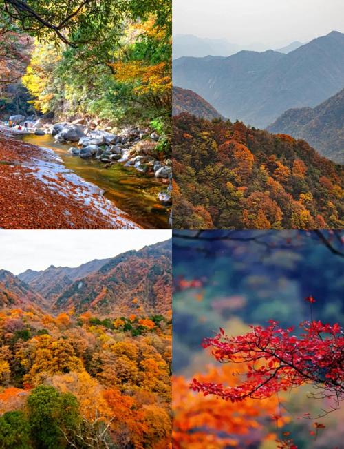 11月国内哪5个景点最值得去？-第3张图片-星月文旅