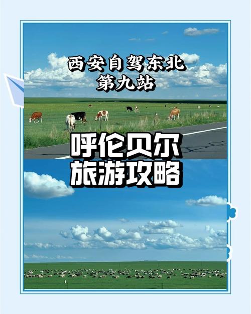 西安内蒙古五日自驾游路线怎么安排？-第2张图片-星月文旅