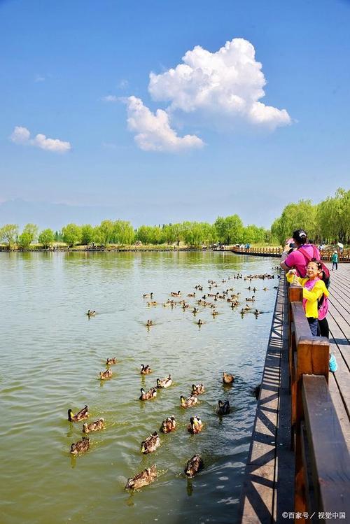 80岁老人适合去哪些旅游景点？-第1张图片-星月文旅