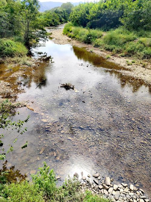 板桥自然保护区自驾游怎么玩最尽兴？-第3张图片-星月文旅