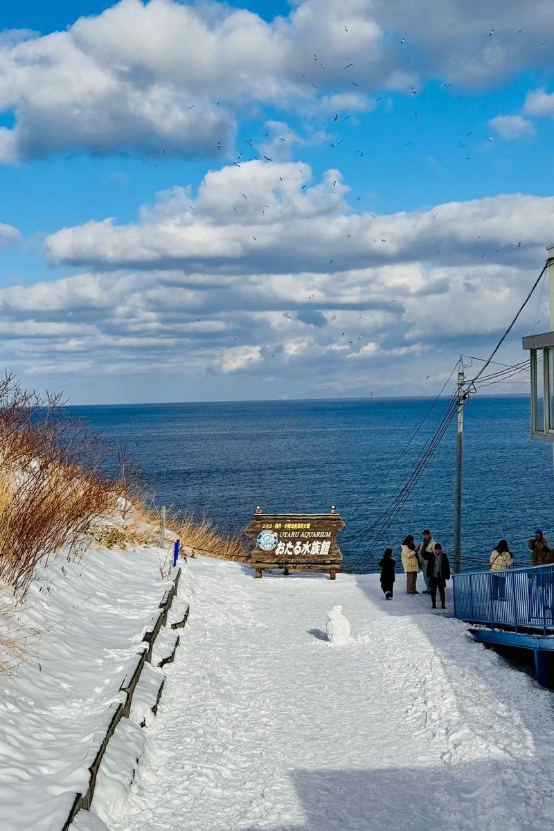 北海道冬季旅游怎么玩才最尽兴？-第2张图片-星月文旅