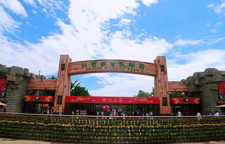 大兴区周边自驾游一天去哪儿玩？-第1张图片-星月文旅