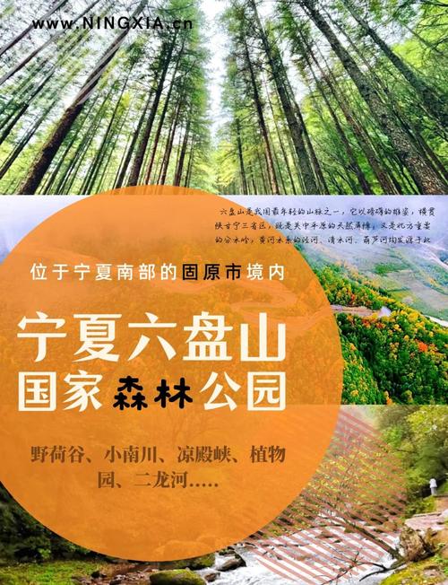 六盘山森林公园怎么玩？攻略有哪些必打卡？-第3张图片-星月文旅