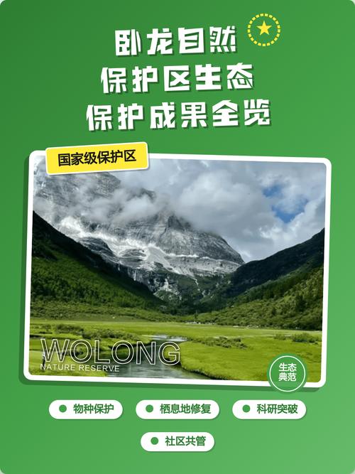 卧龙自然保护区怎么玩最尽兴？-第1张图片-星月文旅