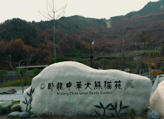 卧龙自然保护区怎么玩最尽兴？-第2张图片-星月文旅