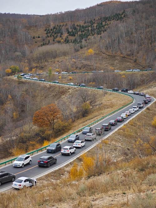 国庆内蒙古自驾游有哪些必打卡路线？-第1张图片-星月文旅