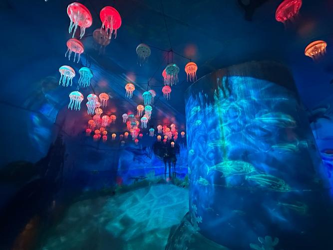 萤火虫水洞2日自驾游怎么安排更尽兴？-第1张图片-星月文旅