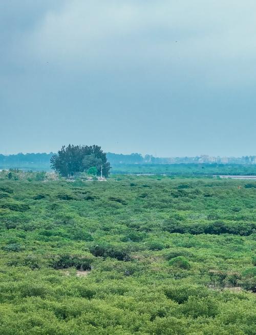 七彩贝丘湾自驾游怎么玩？-第1张图片-星月文旅
