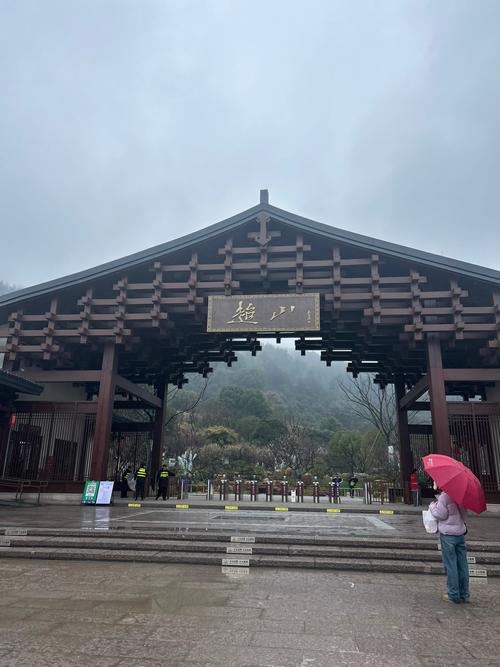 杭州超山风景区怎么玩最尽兴？-第1张图片-星月文旅