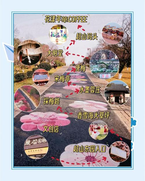 杭州超山风景区怎么玩最尽兴？-第2张图片-星月文旅