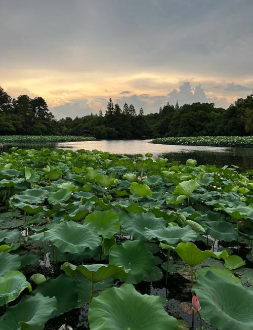 上海周边二日游去哪玩？-第2张图片-星月文旅