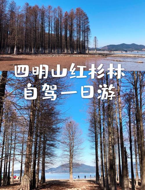 宁波周边一日游景点怎么选？-第1张图片-星月文旅