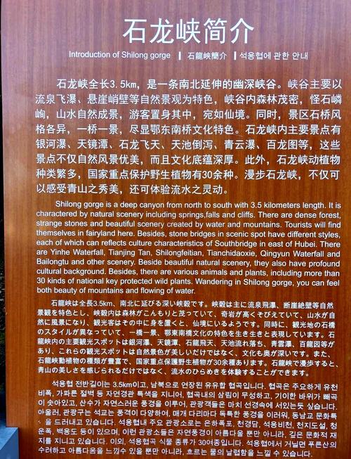 湖北九宫山有哪些必游景点？-第1张图片-星月文旅