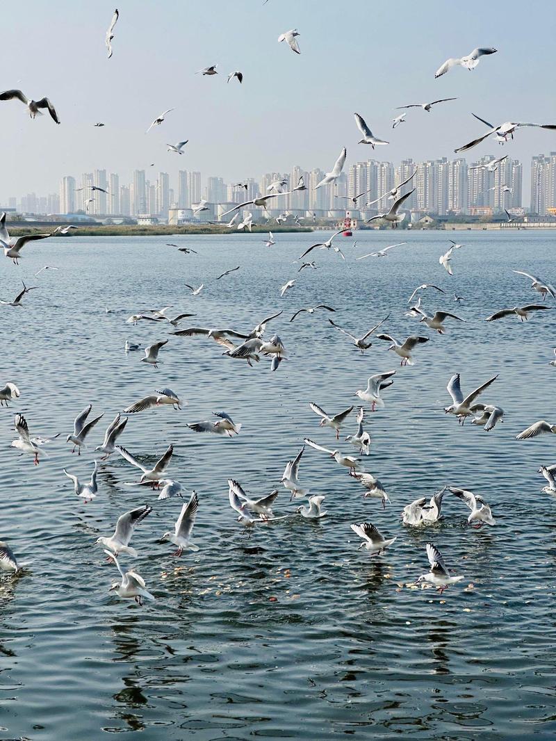 天津市滨海新区旅游景点-第2张图片-星月文旅