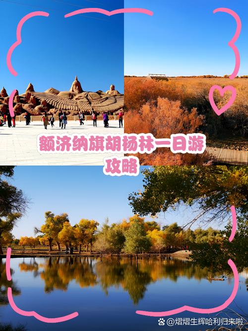 重庆到额济纳旗怎么玩？攻略路线有哪些？-第1张图片-星月文旅