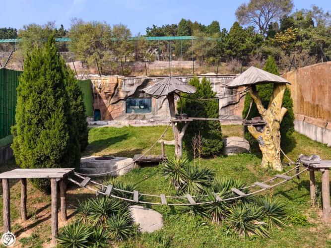 大连野生动物园自驾游怎么玩最尽兴？-第2张图片-星月文旅