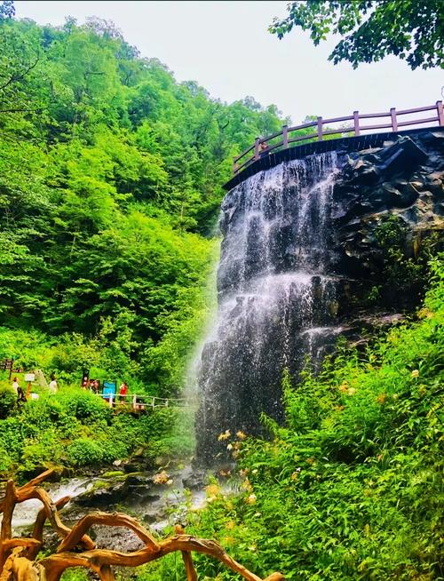 五常凤凰山自驾游费用大概多少？-第1张图片-星月文旅