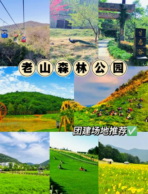 南京老山风景区怎么玩最尽兴？-第3张图片-星月文旅