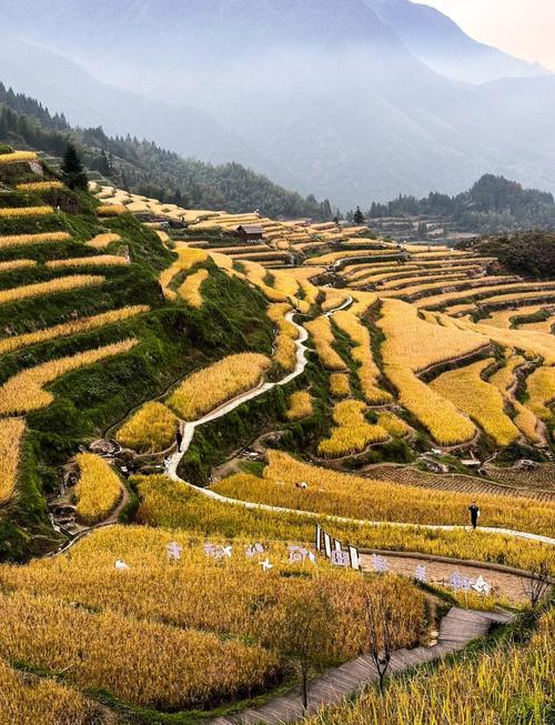 云和梯田旅游攻略自驾游-第1张图片-星月文旅