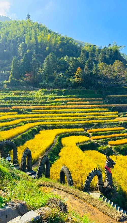 云和梯田旅游攻略自驾游-第2张图片-星月文旅