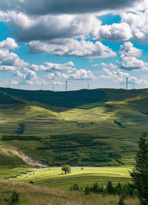 张家口有哪些必游景点？-第2张图片-星月文旅