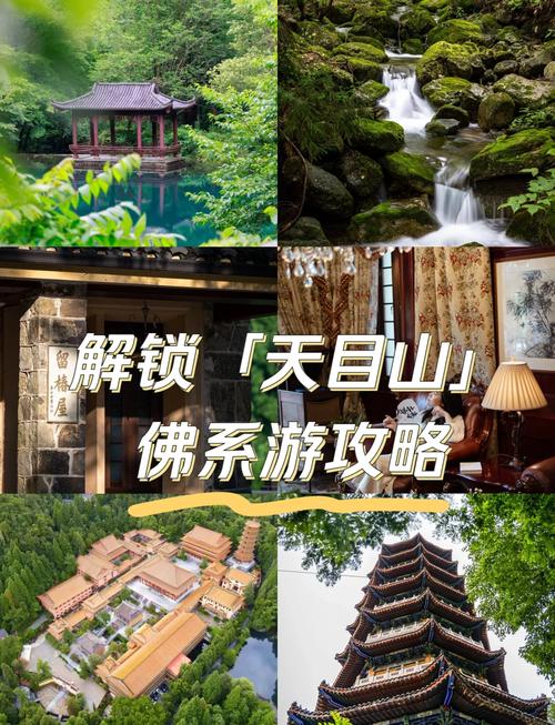 杭州天目山旅游景点怎么玩最省心？-第3张图片-星月文旅