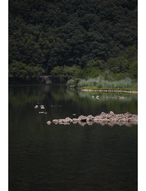 杭州周边一小时自驾游有哪些好去处？-第1张图片-星月文旅