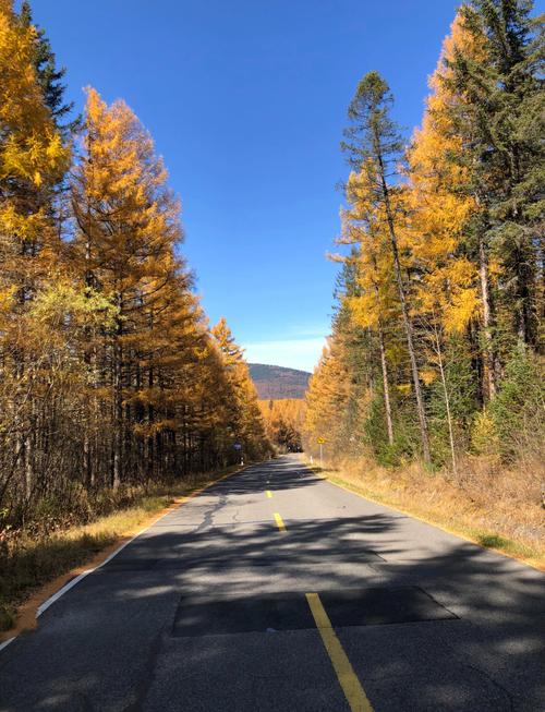 大连自驾长白山路线怎么规划？-第1张图片-星月文旅