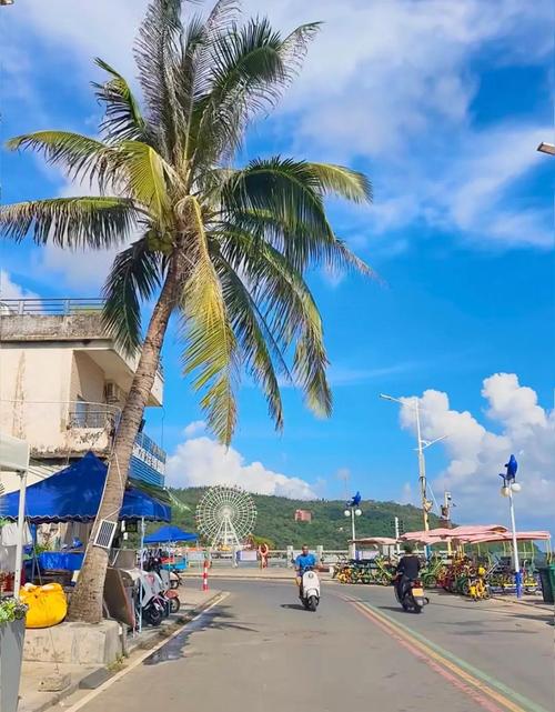 阳江沙扒湾两日自驾游怎么安排才好玩？-第2张图片-星月文旅