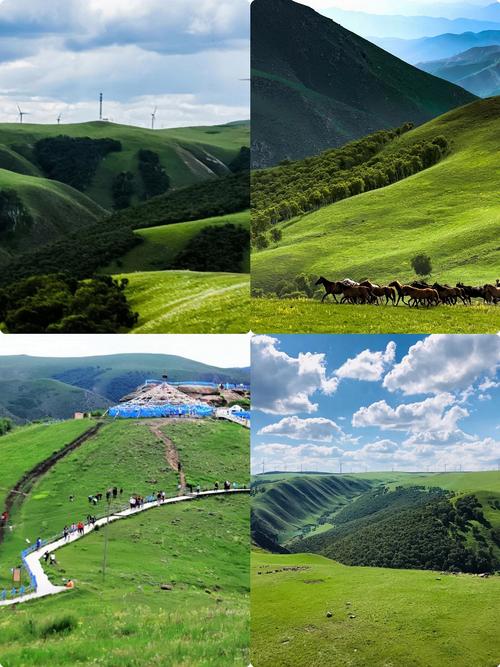 辉腾锡勒草原自驾怎么玩才尽兴？-第1张图片-星月文旅