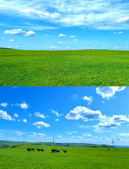 辉腾锡勒草原自驾怎么玩才尽兴？-第3张图片-星月文旅