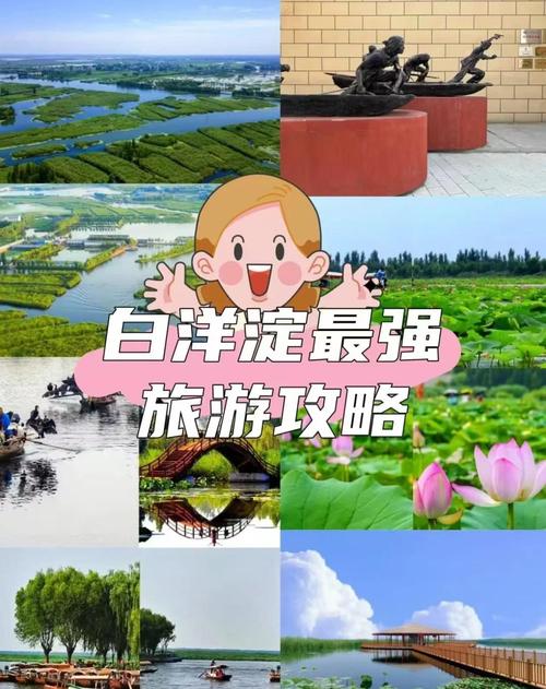 河北白洋淀旅游景点有哪些特色？-第1张图片-星月文旅