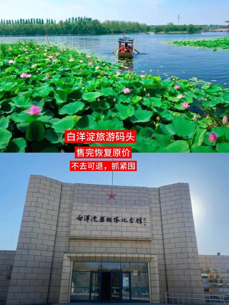 河北白洋淀旅游景点有哪些特色？-第2张图片-星月文旅