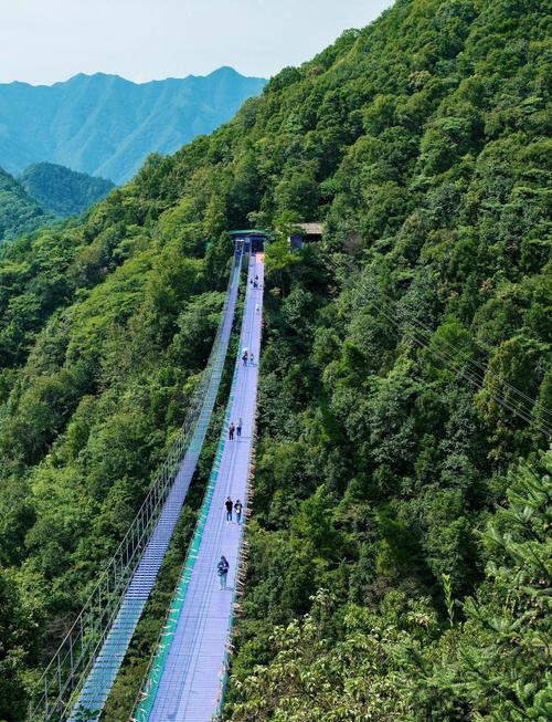 自驾游天子山停车场在哪？-第2张图片-星月文旅