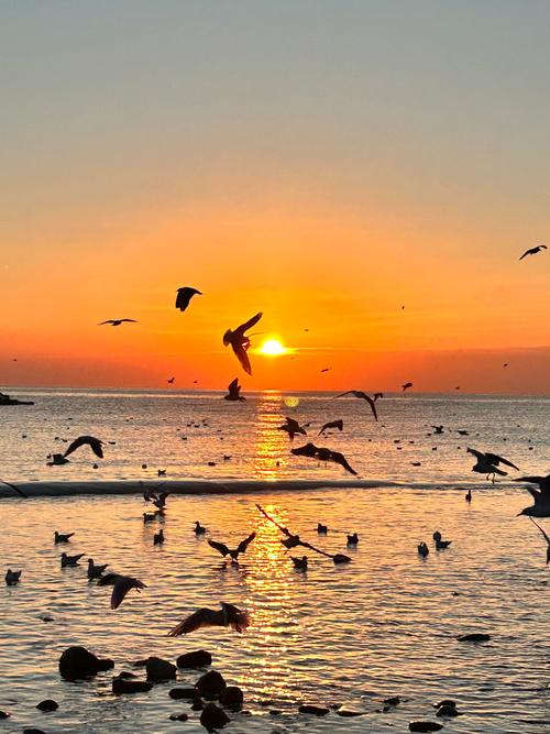 天津海边景点有哪些必打卡？-第3张图片-星月文旅