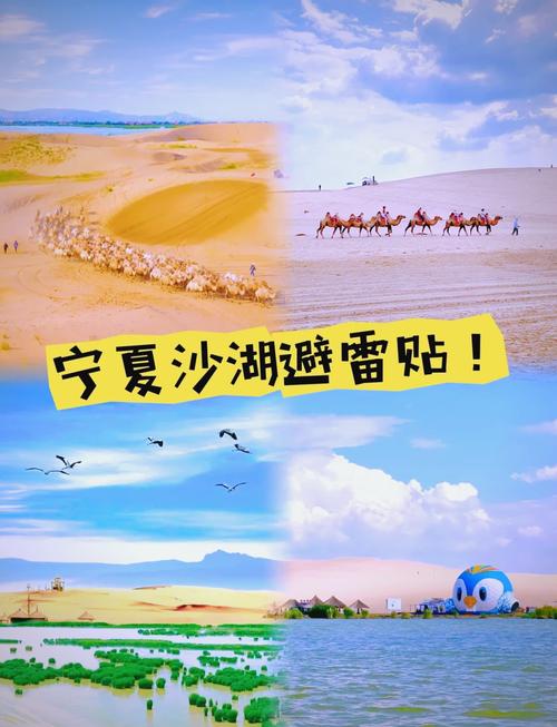 宁夏旅游必玩景点有哪些？-第2张图片-星月文旅