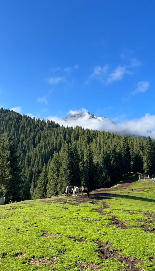 石河子周边二日自驾游有哪些路线推荐？-第1张图片-星月文旅