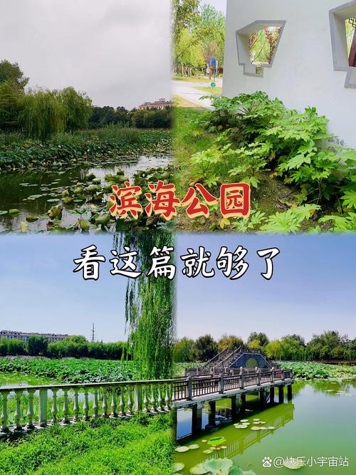 盐城滨海一日游怎么玩最尽兴？-第2张图片-星月文旅