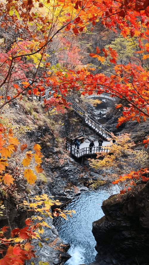 辽宁哪里赏枫叶好？-第3张图片-星月文旅